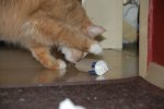 DSC_0065.jpg