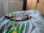 20130822_143828.jpg