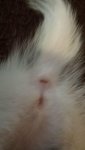 20130830_071751.jpg