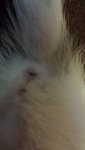 20130830_071814.jpg