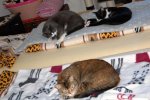 DSC_3951.jpg