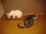 2013-09-04 06 10 37.jpg
