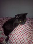 IMG_20130828_120557.jpg