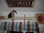 IMG_4200.jpg