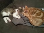 20131003_021546.jpg