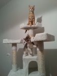 20131002_234727_18.jpg