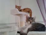 20131003_134904.jpg