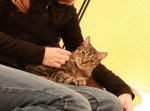Remmi beim Kuscheln.jpg