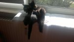 2013-10-03-006.jpg