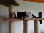 2013-08-31 16.58.43.jpg