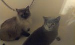 luna und sophie badewanne.jpg