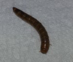 20131102_190302.jpg