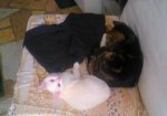 Foto0062.jpg