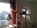 20131127_113057.jpg