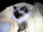 20131211_215607.jpg