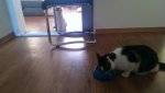 IMAG0653.jpg