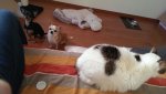 IMAG0656.jpg