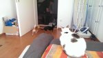 IMAG0658.jpg