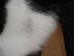 DSCF1723.jpg