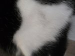 DSCF1711.jpg