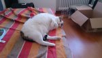 DSC_0006.jpg