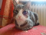 DSC04375.jpg