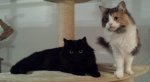 20131211_050547.jpg