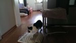 IMAG0684.jpg