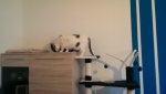 IMAG0693.jpg