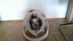 IMAG0714.jpg