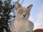 Sammy kleines Foto.JPG