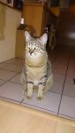 DSC_0025.JPG
