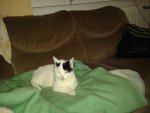 20130703_125540.jpg 20130703_125540.jpg