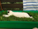 20130805_185153.jpg 20130805_185153.jpg