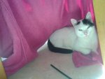20130927_143527.jpg 20130927_143527.jpg
