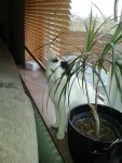 20131205_095748.jpg 20131205_095748.jpg