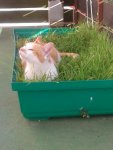20130905_174409.jpg 20130905_174409.jpg