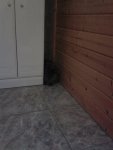 20140208_164438.jpg