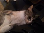 Minka.JPG