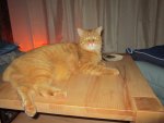 IMG_0209.JPG