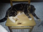 DSC00381.jpg