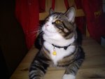 DSC00409.jpg