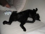 IMG_1774_Medium.jpg