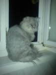 DSC00111_1.jpg