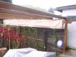 DSCN4531.jpg