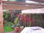 DSCN4532.jpg