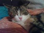 DSC00328.jpg