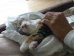 DSC00267.jpg