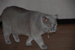 DSC_0464.jpg