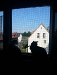 20130611_181000.jpg